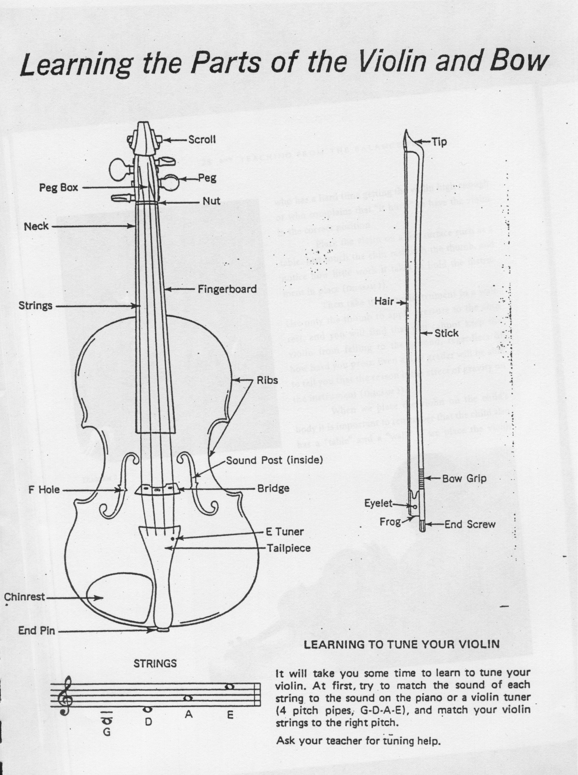 Violin And Bow Diagram
